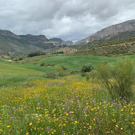 La Casita Blanca- La Almona Chica منزل ريفي إل شورو